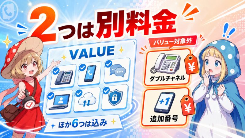 バリューでも別料金になる付加サービスが2つある